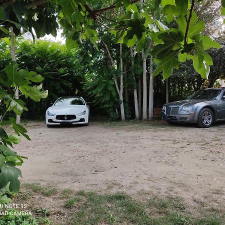 Apartment Albert Parking Prive Gratuit Limoux Zewnętrze zdjęcie