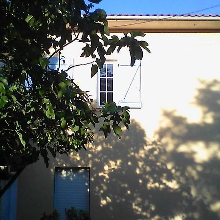 Apartment Albert Parking Prive Gratuit Limoux Zewnętrze zdjęcie