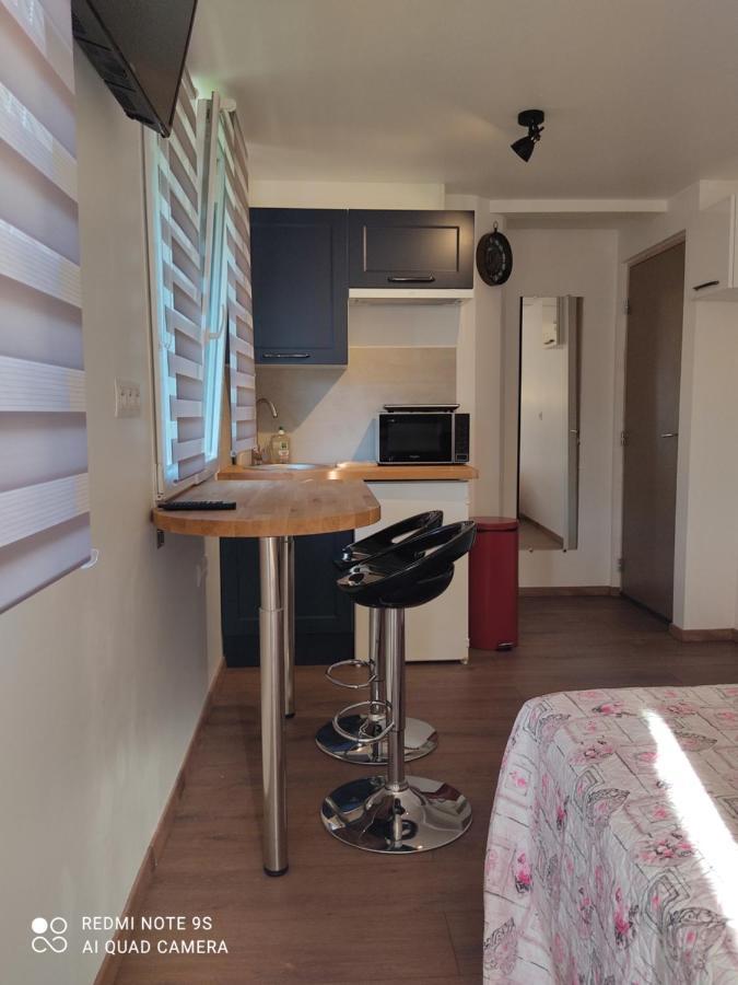 Apartment Albert Parking Prive Gratuit Limoux Zewnętrze zdjęcie