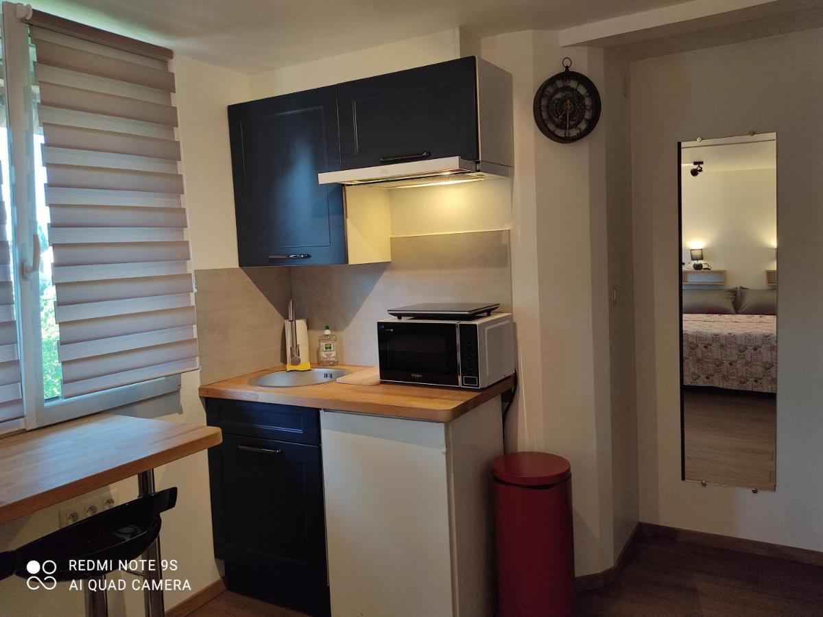 Apartment Albert Parking Prive Gratuit Limoux Zewnętrze zdjęcie