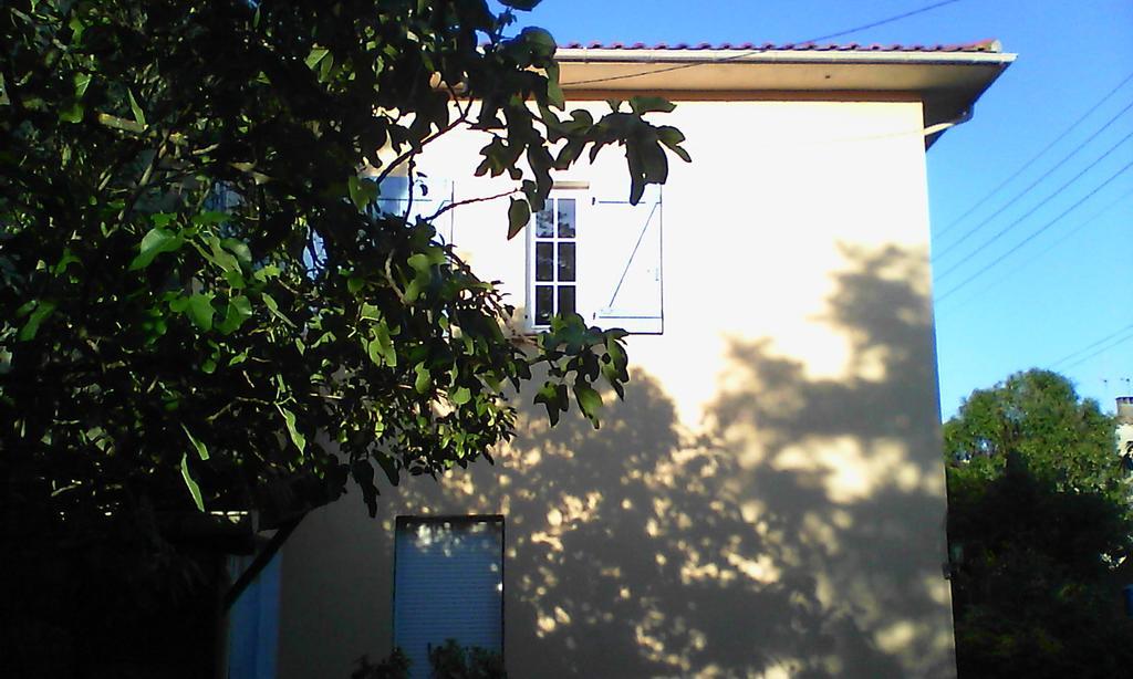 Apartment Albert Parking Prive Gratuit Limoux Zewnętrze zdjęcie