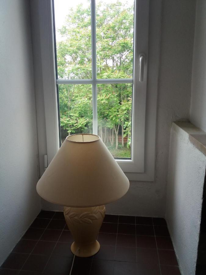 Apartment Albert Parking Prive Gratuit Limoux Zewnętrze zdjęcie